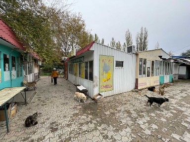 Миколаївська область, Миколаїв, Центральний