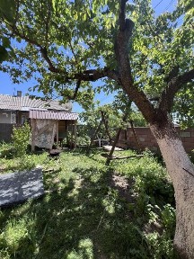Рівненська область, Мізоч