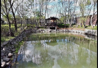 Київська область, Березівка