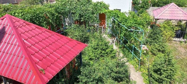Одеська область, Лиманка