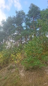 Київська обл., Бориспільський район, с. Гнідин