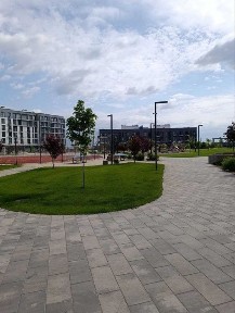 Черкаська область, Черкаси