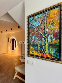 Вишгород, Старі Петрівці
