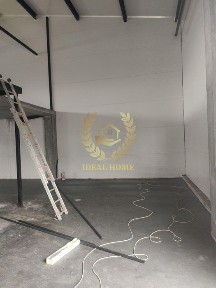 Київська область, Святопетрівське