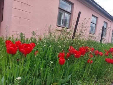 Миколаївська область, Миколаїв, Iнгульський