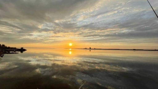 Київська область, Ровжи