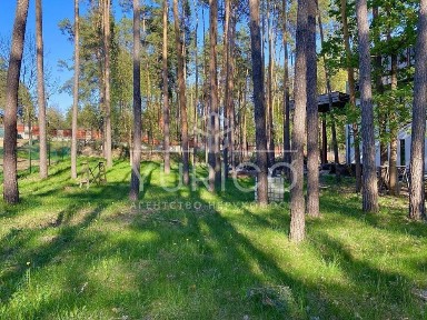 Конча-Заспа. 1121.8 м. кв. Дом в сосновом лесу.