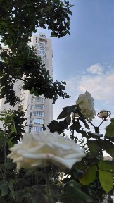 Одеська область, Одеса, Київський