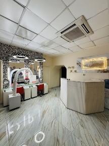 Київська область, Київ, Печерський