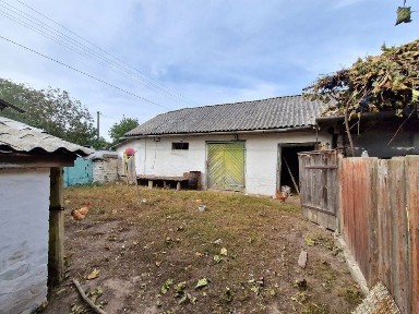 Чернігівська область, Виблі