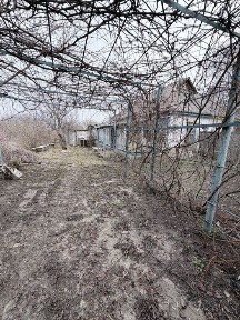 Київська область, Чорногородка