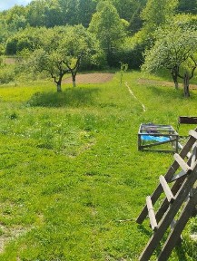 Хатинка в малівничному місті