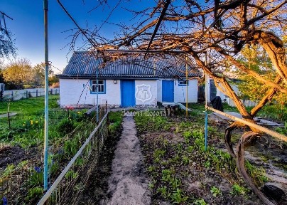 Будинок, 1 пов, 6к. Гарний стан. село Іванків Піщана, 19а Бориспільській район
