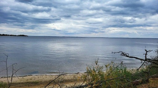 Участок огорожен 10Га на берегу Киевского моря