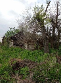 Київська область, Андріївка