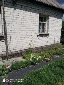 Київська область, Мирча