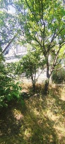 Продам дом в Романково