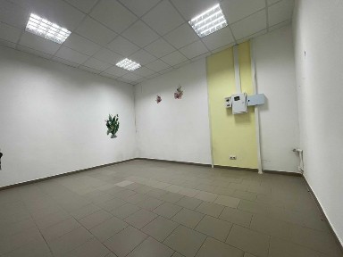 Київська область, Бориспіль