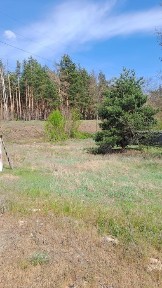 Харківська область, Солоницівка
