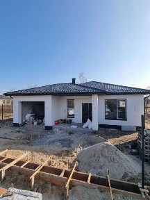 Київська область, Дмитрівка