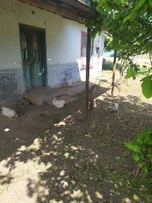 Одеська область, Овідіополь