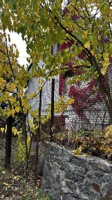 Дніпропетровська область, Новомиколаївка