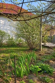 Чернівецька область, Чернівці