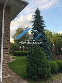 Київська область, Козин