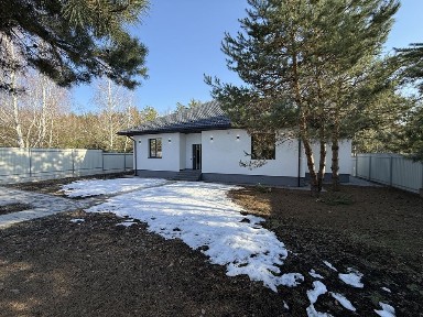 Київська область, Дмитрівка