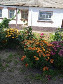 Продам будинок по програмівідновлення у Житних Горах