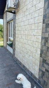 Продам будинок біля річки