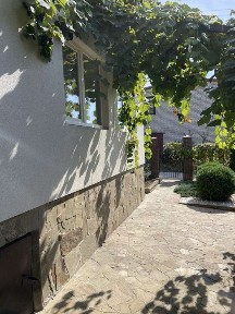 Діброва, Абрикосова 8