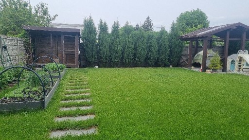 Київська область, Велика Олександрівка