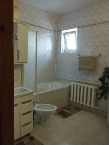 Продам будинок с. Велика Омеляна