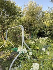 Харківська область, Харків, Новобаварський