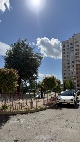 Київська область, Софіївська Борщагівка