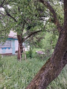 Продається будинок в селі