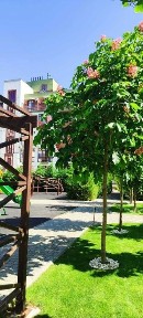 Одеська область, Одеса, Пересипський