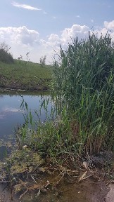 Одеська область, Біляївка