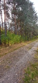 Будинок капітальний дача біля лісу С. Благодатне