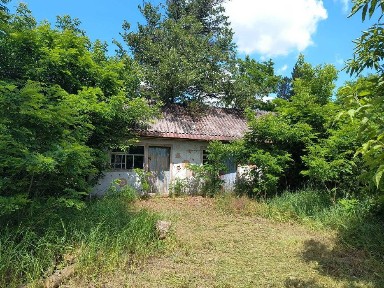 Черкаська область, Думанці