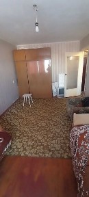 Житомирська область, Житомир, Польова