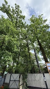 Київська область, Ірпінь