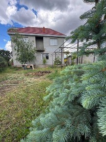 Одеська область, Ліски