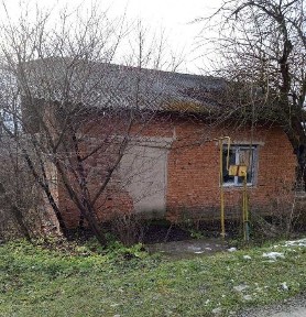 Домоволодіння та зем. ділянка Ів-Фр обл., с Остриня, вул. Франка І., 8