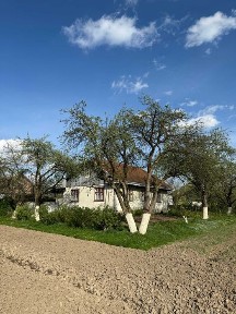 БУДИНОК в ЖИТЛОВОМУ стані з ДОГЛЯНУТОЮ ділянкою та садом біля ДРОГОБИЧА!