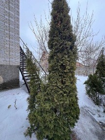 Київська область, Ірпінь