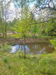 Терміново продам будинок дача в с, Перлявка 27000 у.е. торг