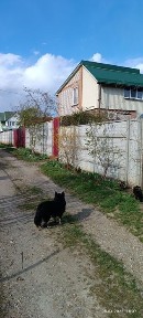 Продається дача! Для родинного відпочинку