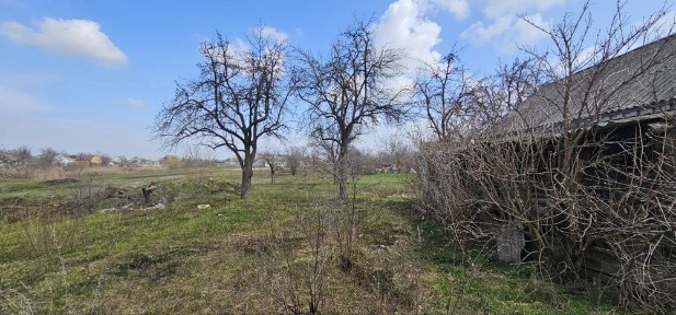 Левый берег дом Подгородное продам